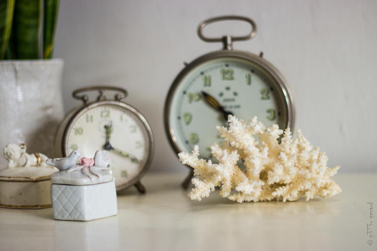 Rachel Bed & Breakfast Brugge Bagian luar foto