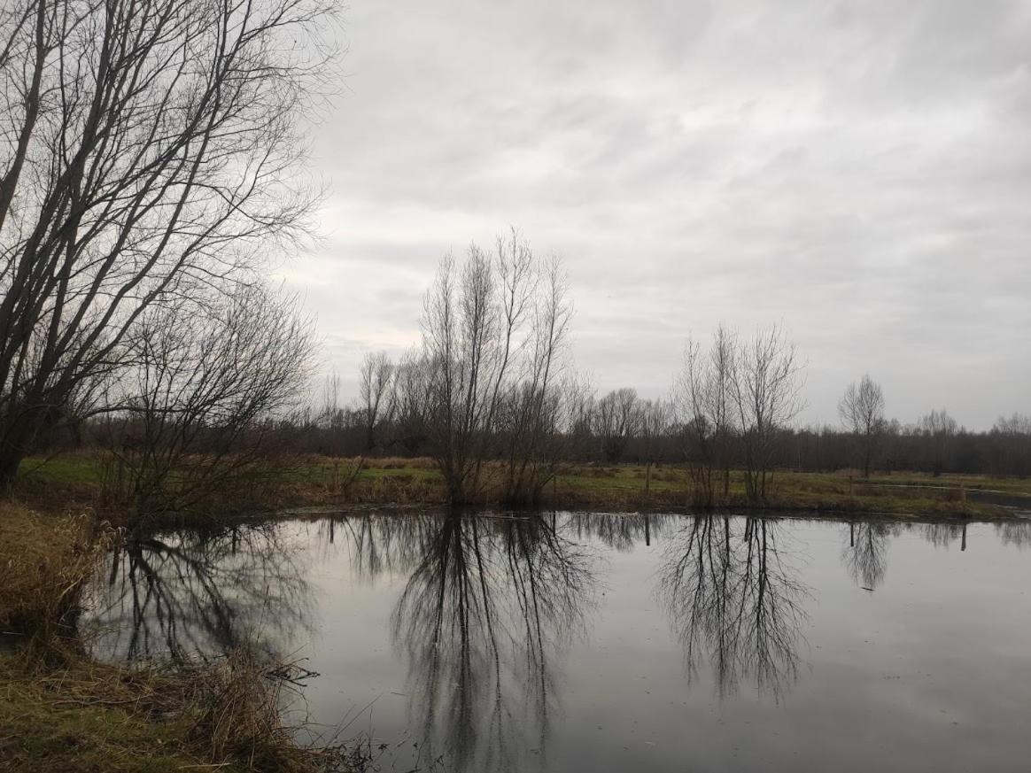 Rachel Bed & Breakfast Brugge Bagian luar foto