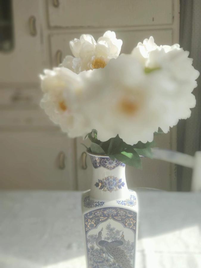 Rachel Bed & Breakfast Brugge Bagian luar foto